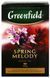 Чай Грiнфiлд Spring Melody 100г 34822 фото