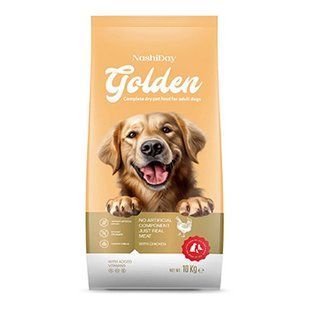 GOLDEN DOG